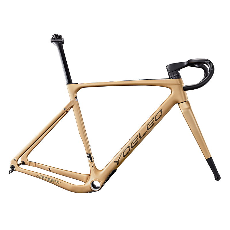 [YEAR-END SALE] G21 Disc Brake Gravel Frameset